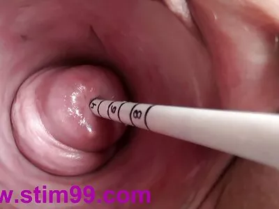 មិត្តស្រីឥណ្ឌាឡើងពីក្រោយ